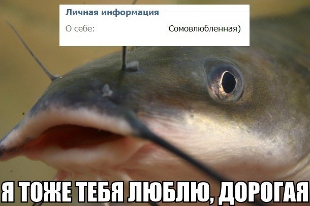 14256349941984.jpg