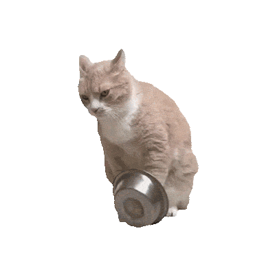 1735385114243067576.gif