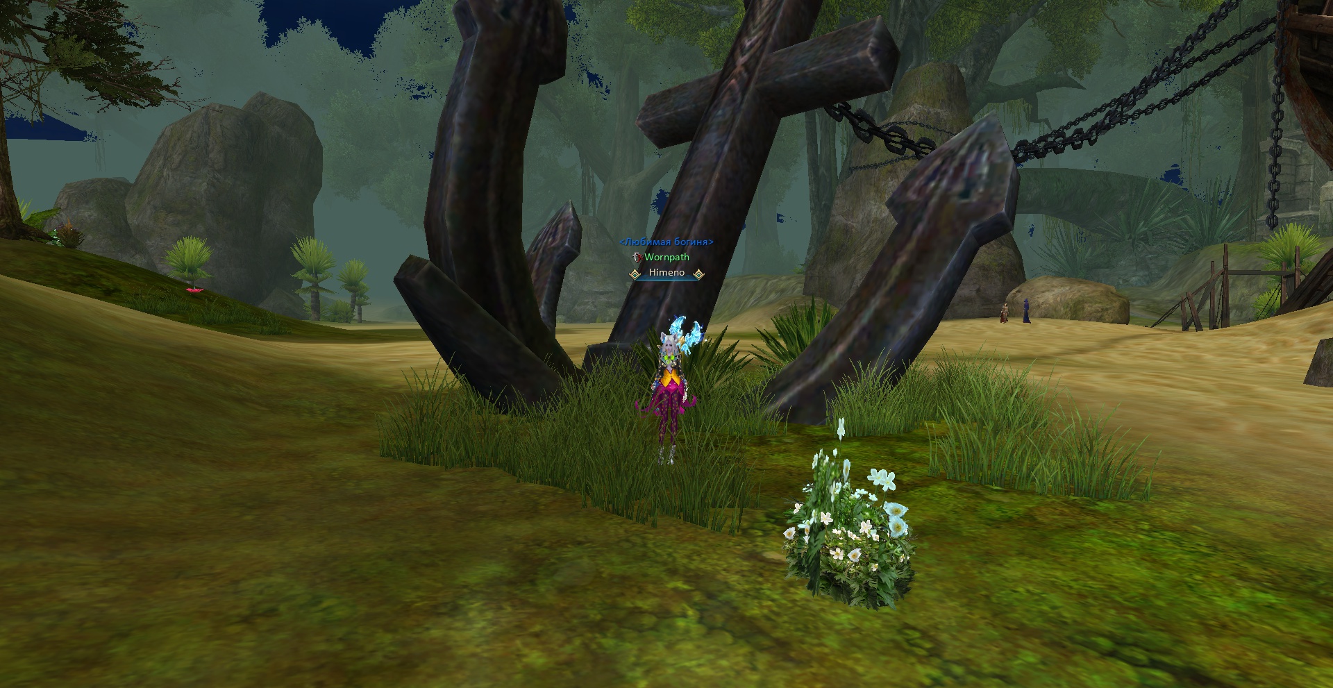 2026-04-11 14-06-37.jpg