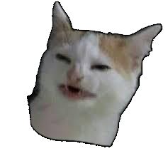 catnobanana.png