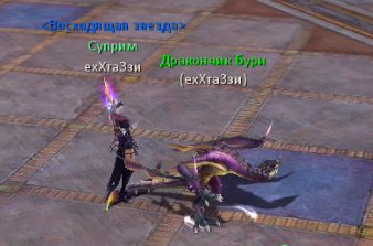 dragon_pet.png