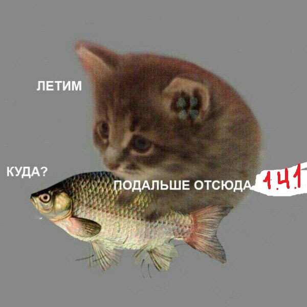 QgVVFGIwGnE.jpg