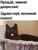 IMG_0756.jpeg