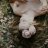 tanya_1234