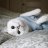 mortic_savina